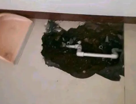安定卫生间测漏水多少钱